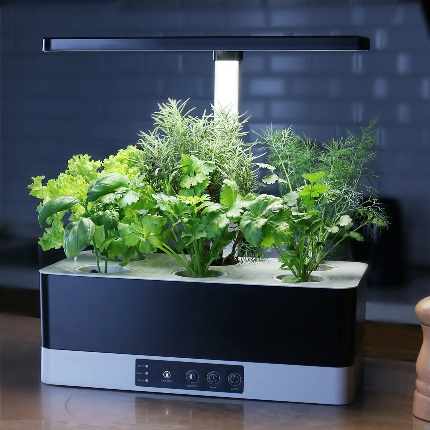 Smart Garden Herb - OEM Customized smart garden indoor herb