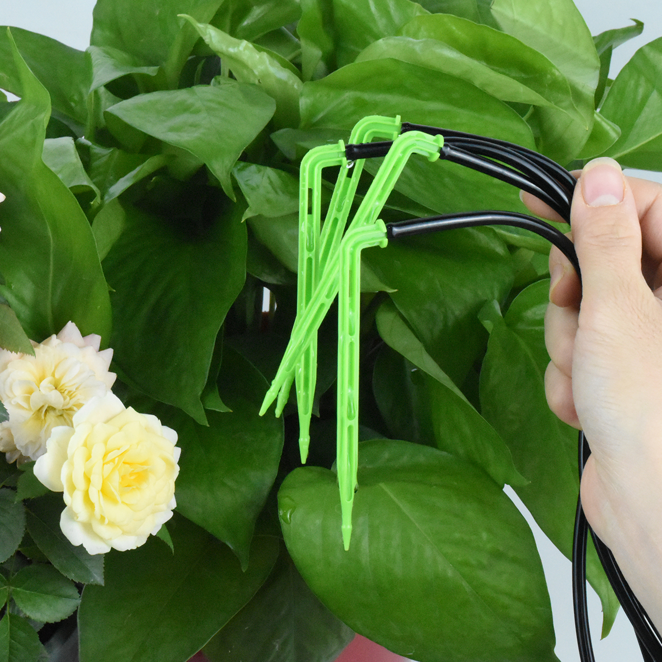 KESLA Garden 4/7mm to 3/5mm Ho - Smart Garden Sprinkler avaliação e preço