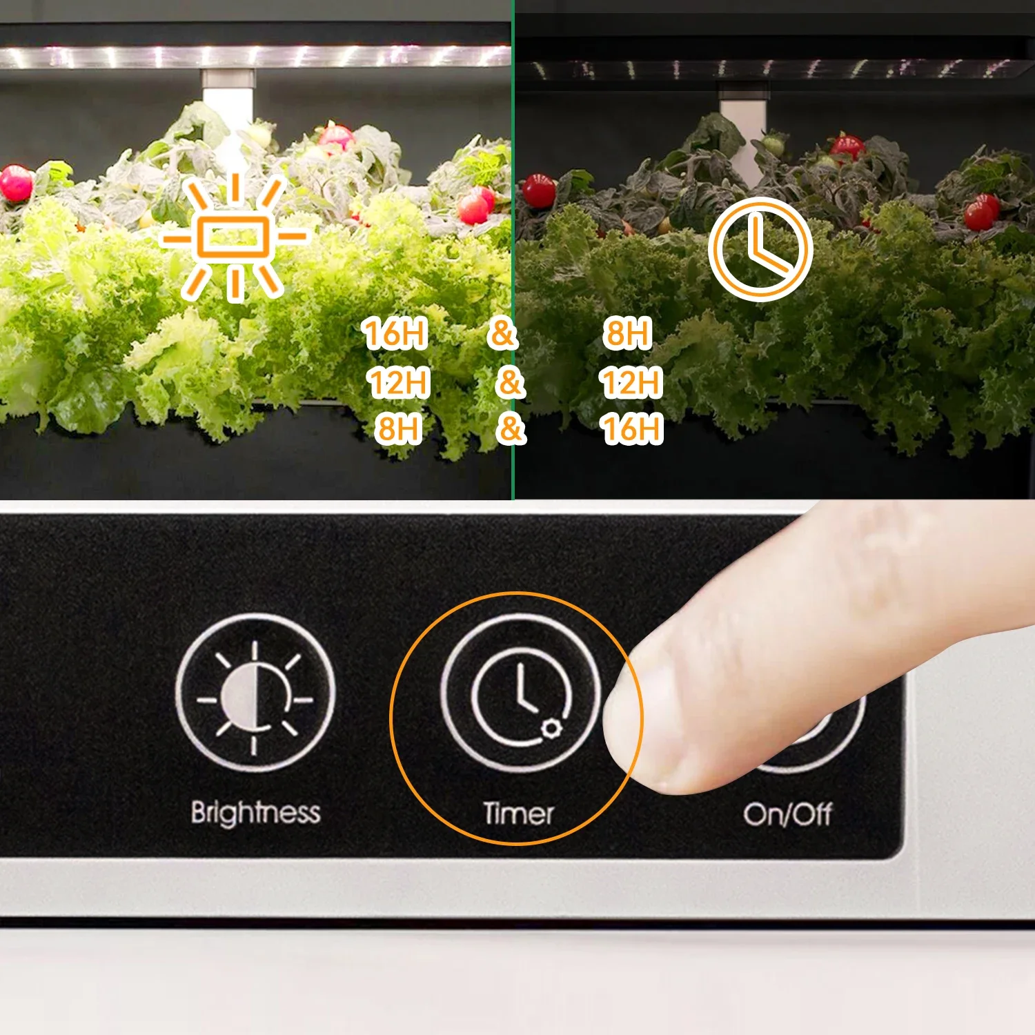 OEM Customized smart garden in - Smart Garden Herb avaliação e preço