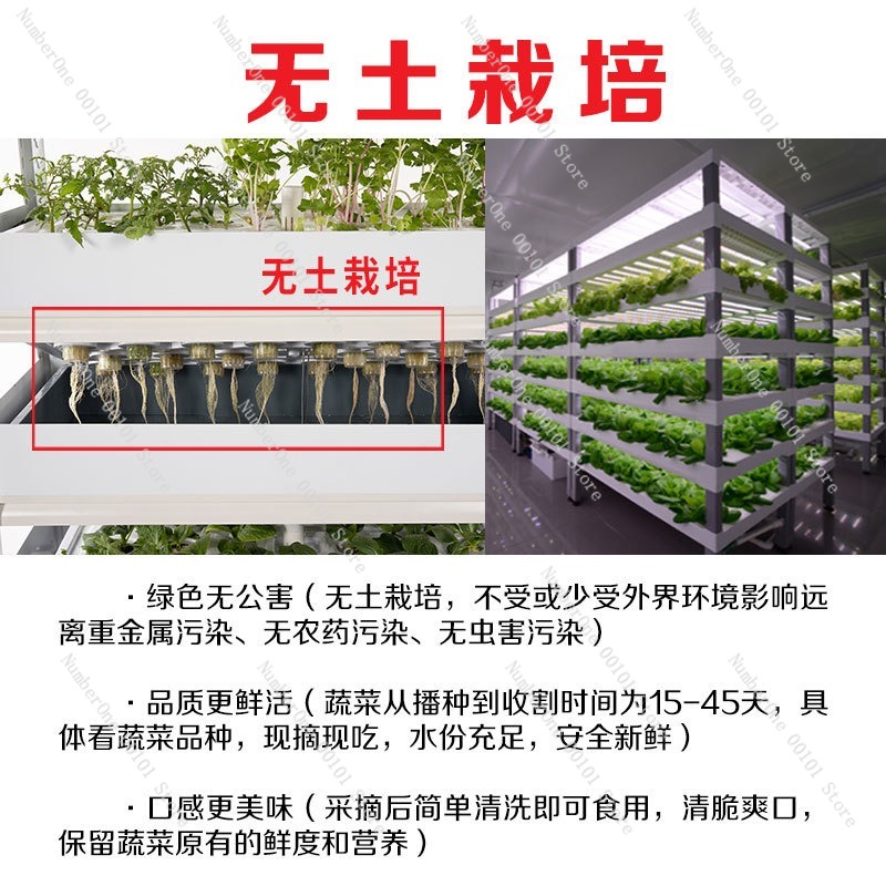 2026 Smart Indoor Hydroponic G - Smart Garden Herb avaliação e preço