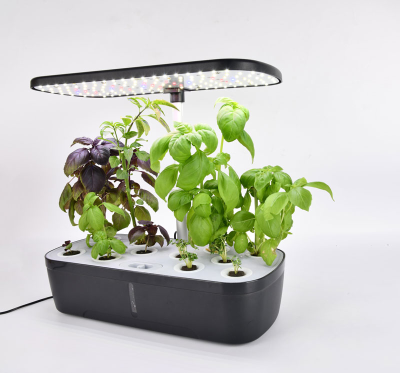 Indoor Small Home Planter Smar - Smart Garden Herb avaliação e preço