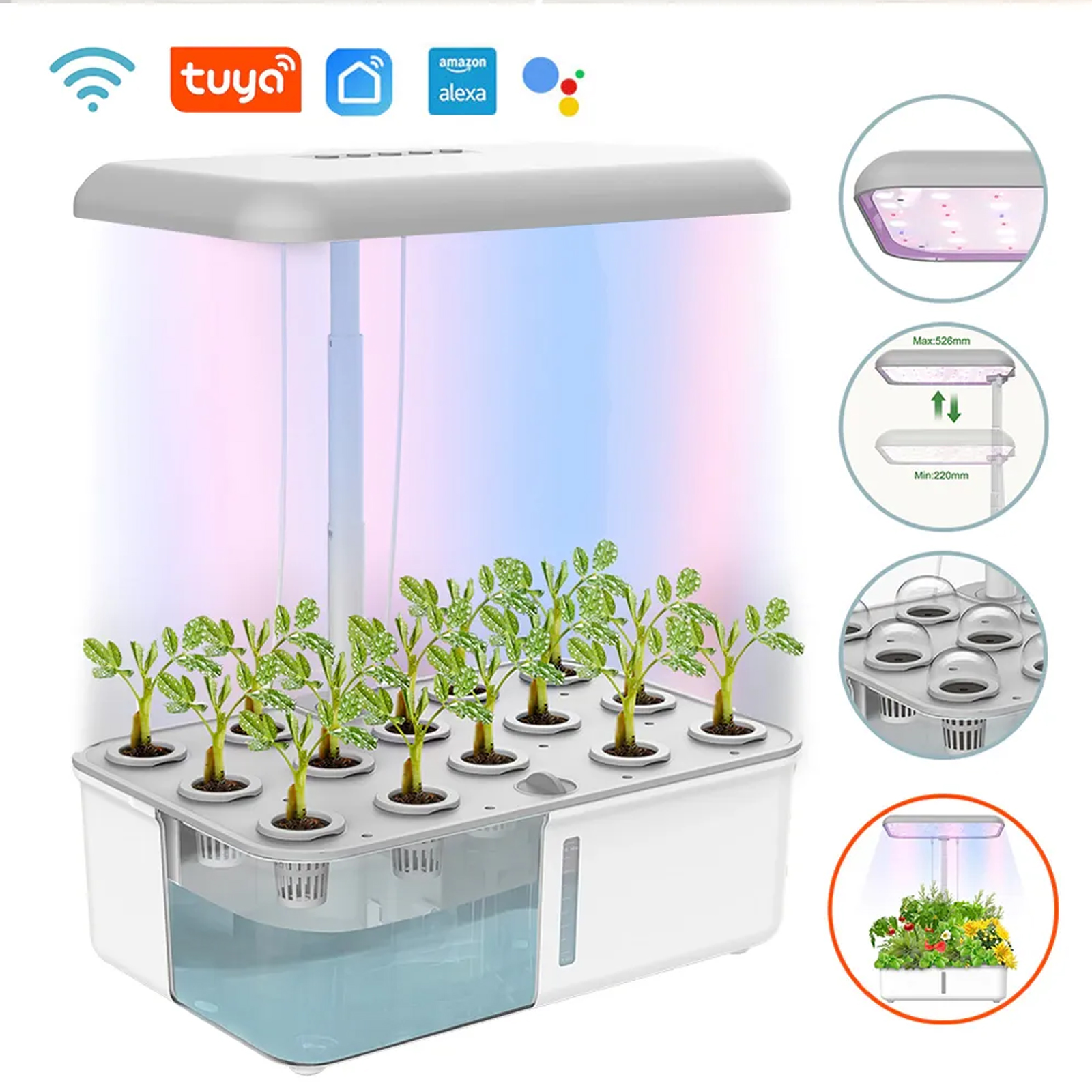 Tuya WiFi Plant Hydroponics Sy - Smart Garden Iot avaliação e preço
