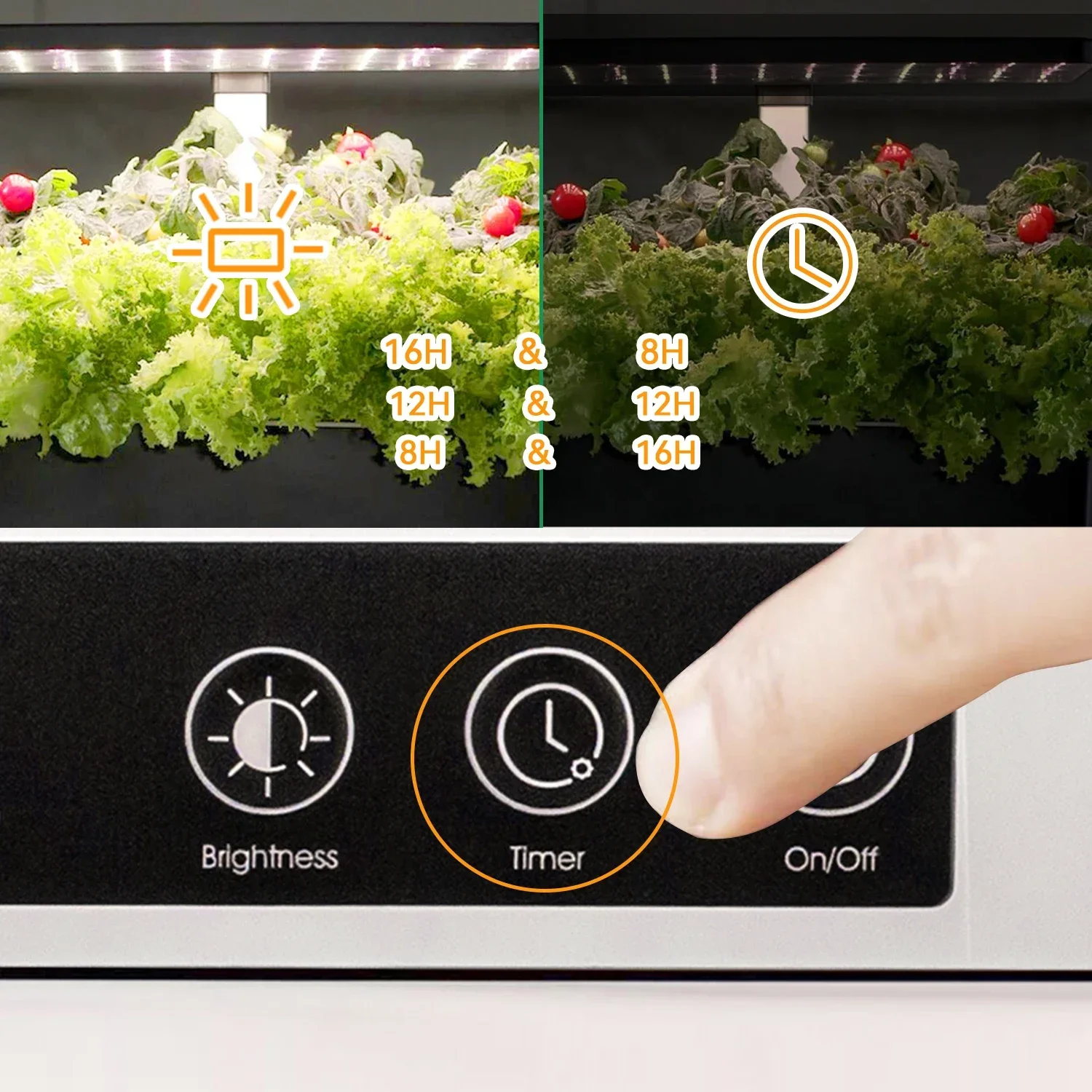 OEM Customized smart garden in - Smart Garden Herb avaliação e preço