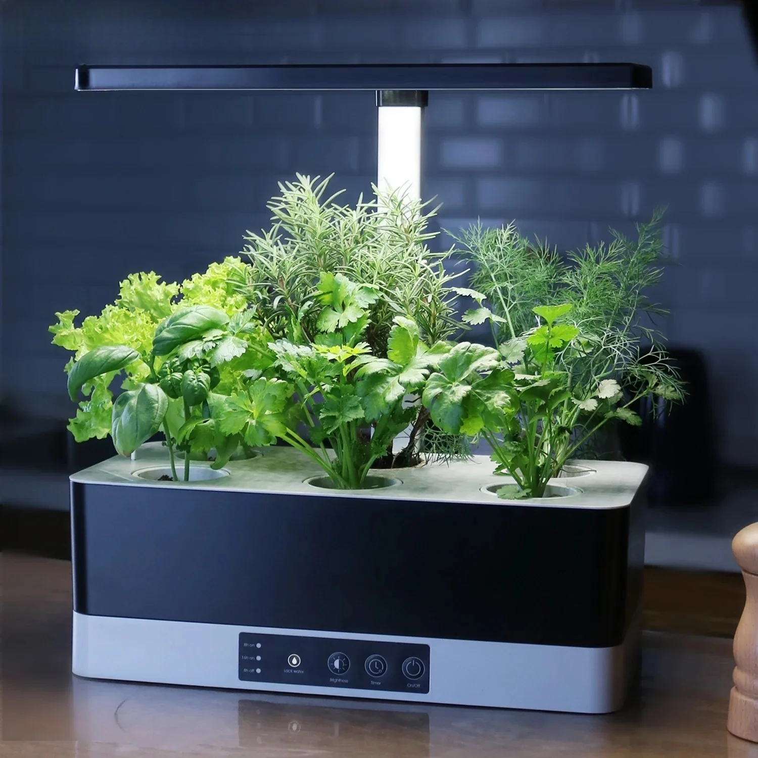 OEM Customized smart garden in - Smart Garden Herb avaliação e preço