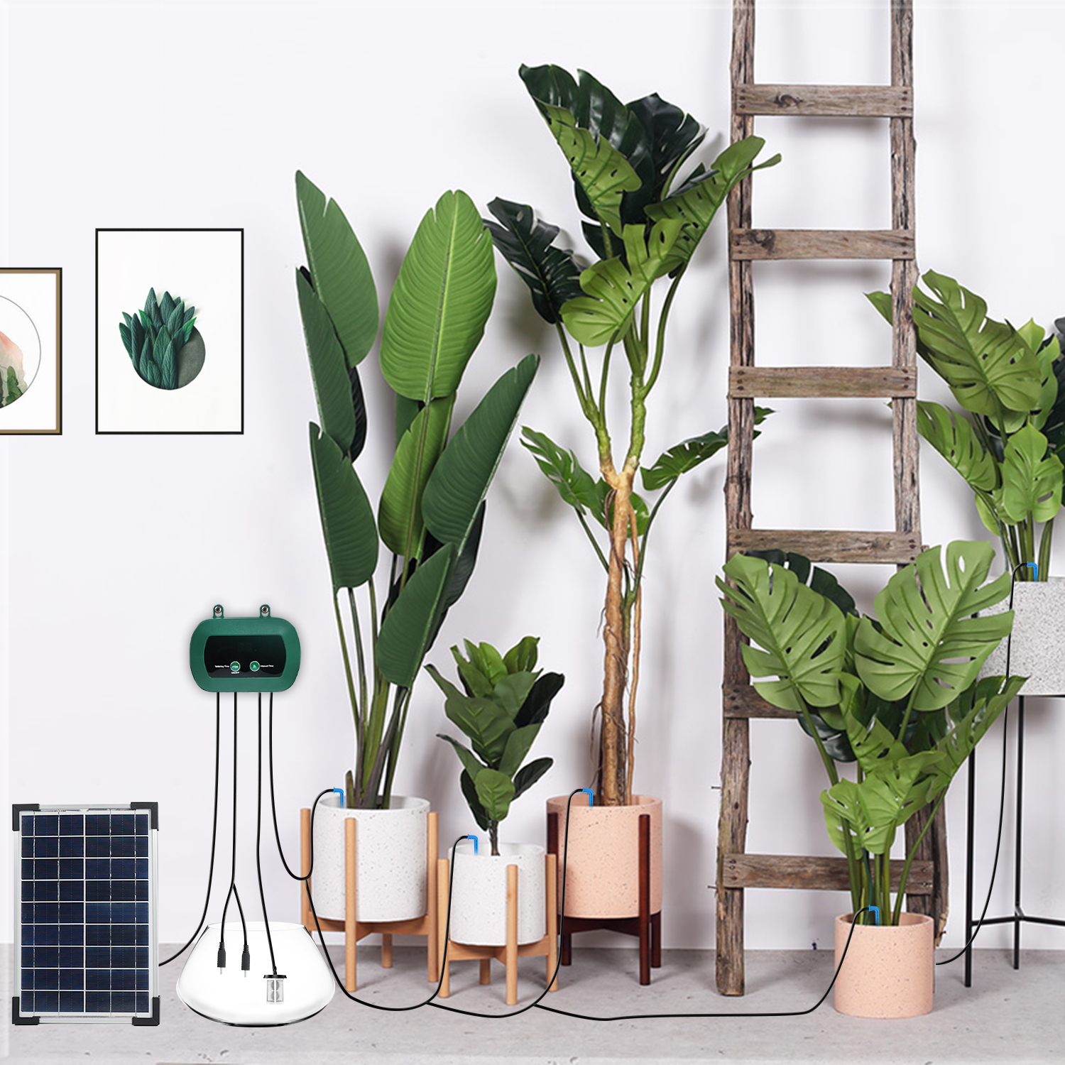 Solar Hydroponics Equipment  M - Smart Garden Solar avaliação e preço