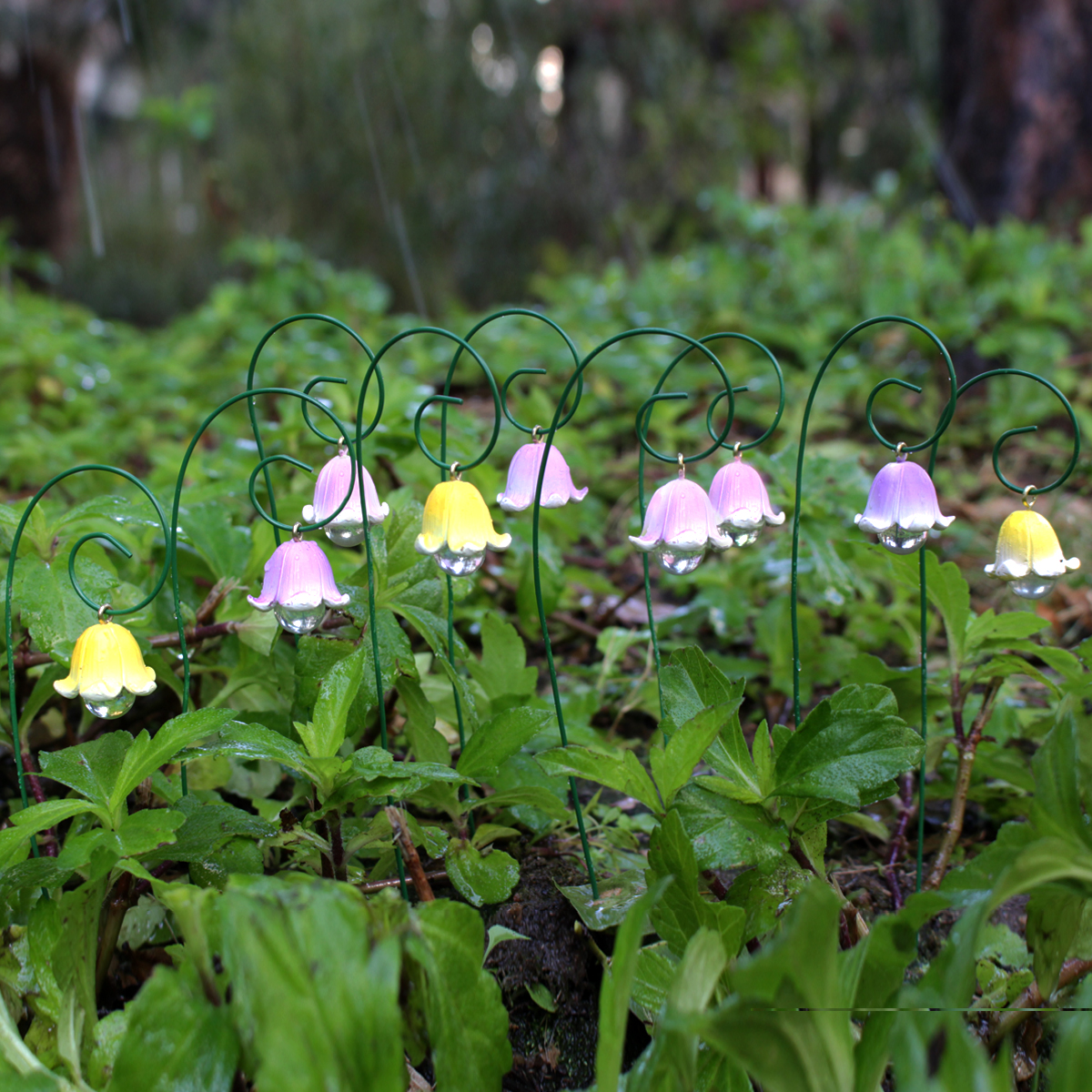 9pcs,Lily Of The Valley That W - Smart Garden Mini avaliação e preço